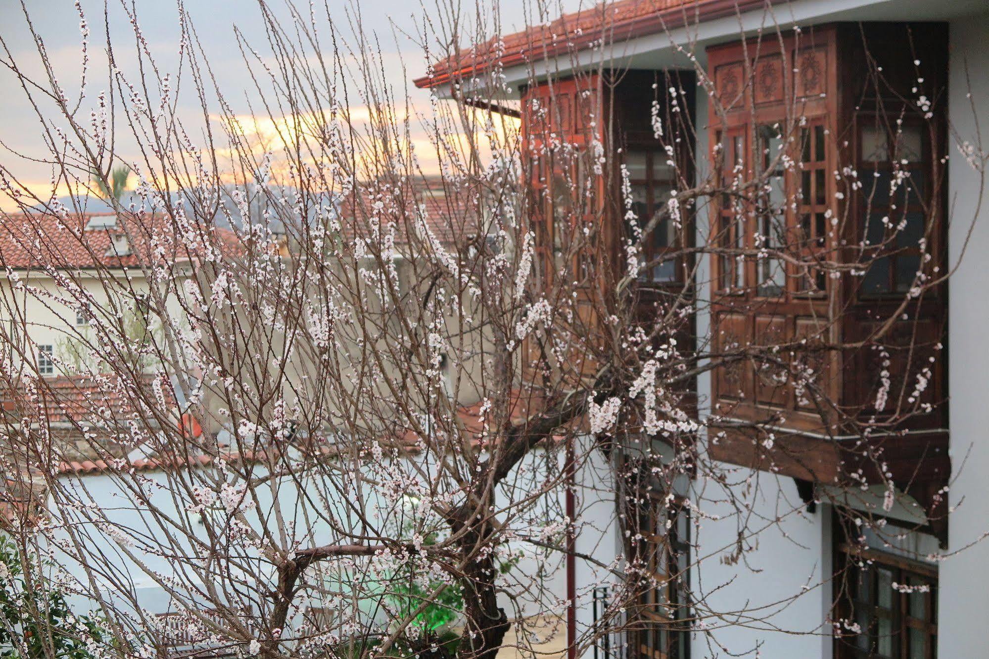 Ephesus Paradise Hotel Selcuk Exterior photo