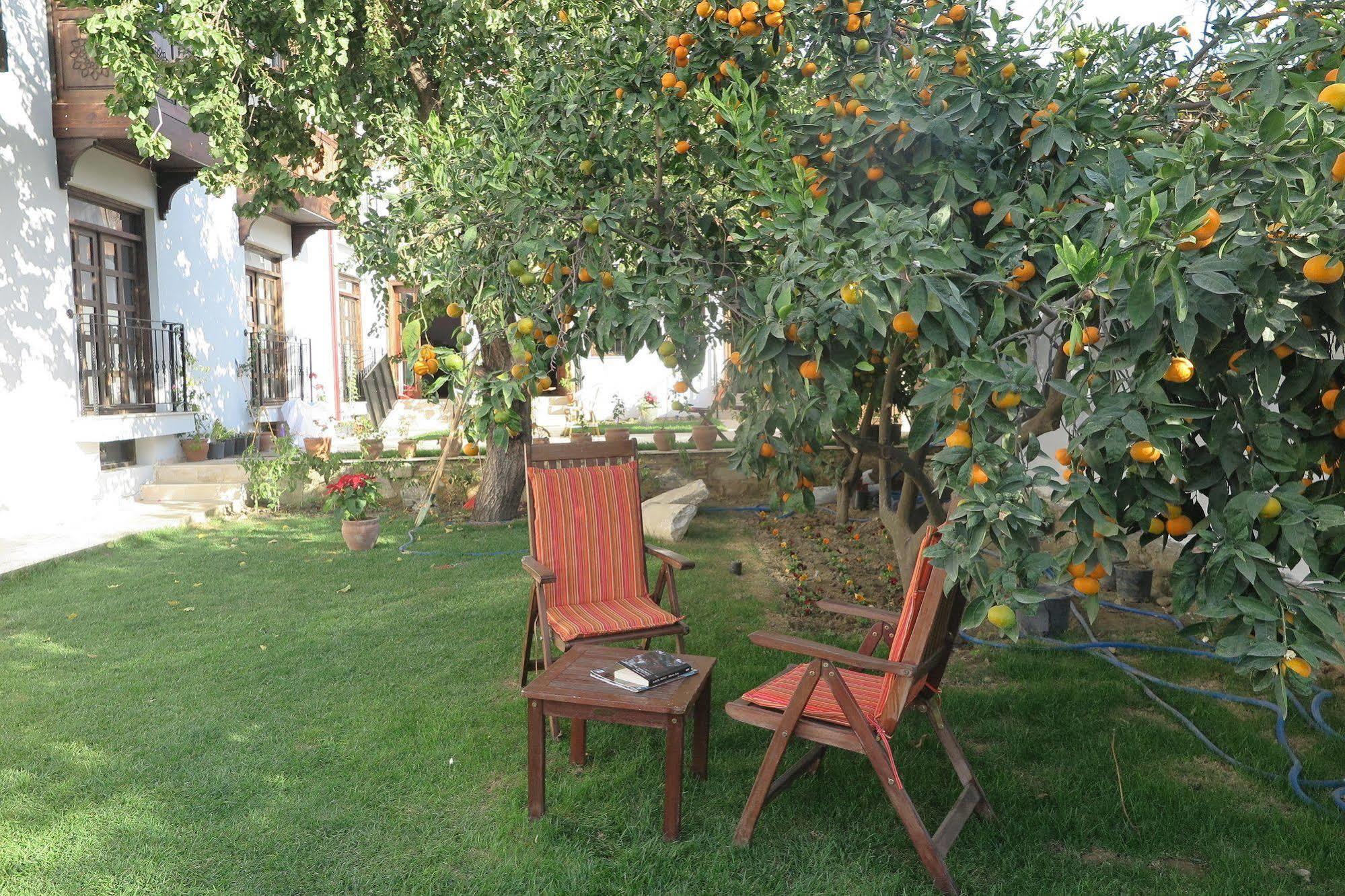 Ephesus Paradise Hotel Selcuk Exterior photo