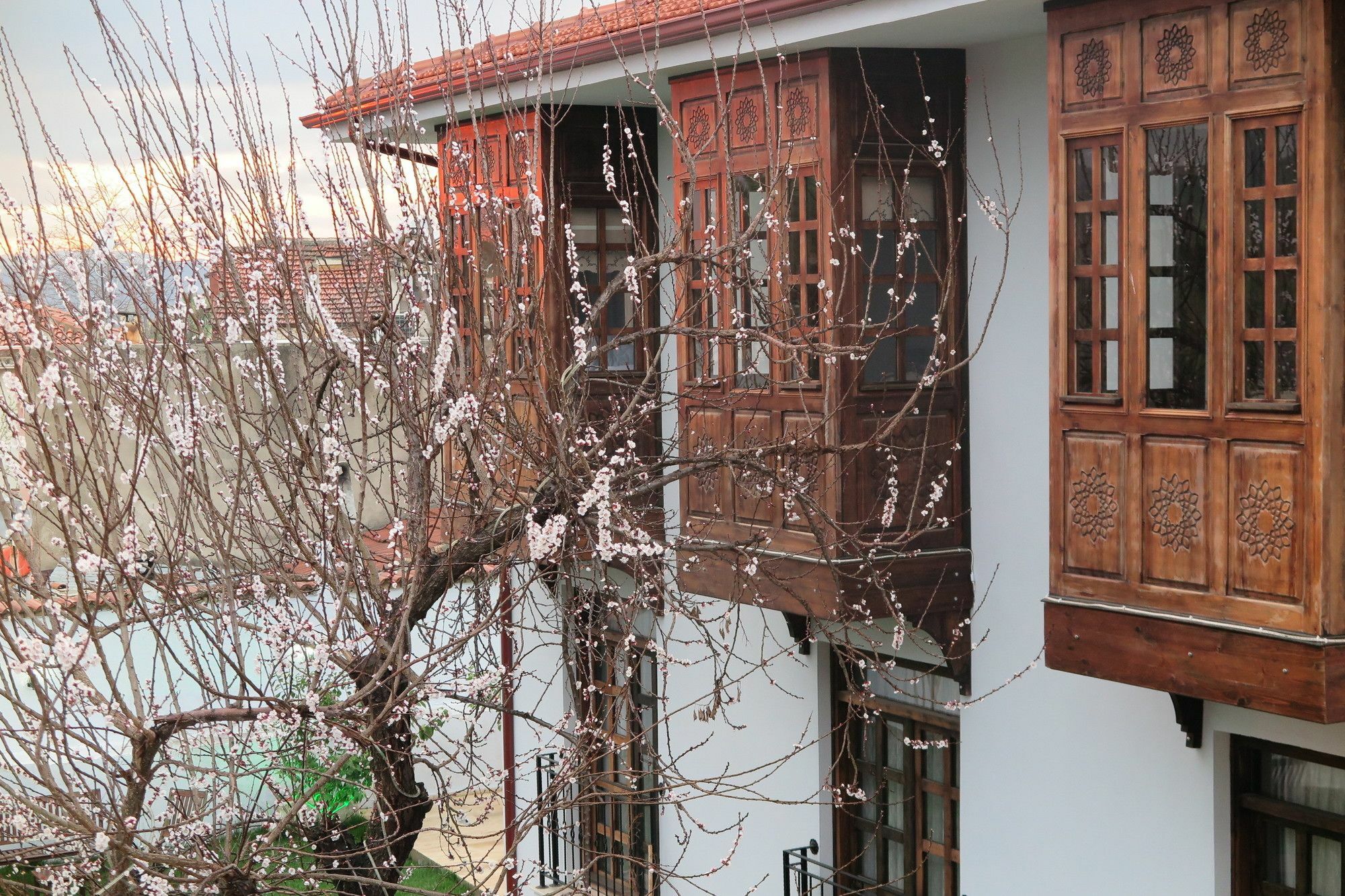 Ephesus Paradise Hotel Selcuk Exterior photo